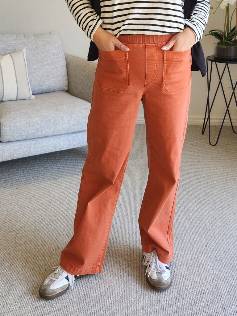 Carpenter Stretch Leg Jean - Fig