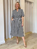 Riviera Stripe Print Shirtdress - Navy/White